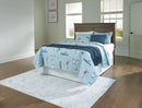 Danabrin Panel Storage Bed - Furniture Queen (GA)*