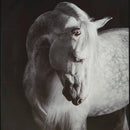 Archerwick Wall Art - Furniture Queen (GA)*