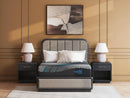 Millennium 2.0 Hybrid 12 Inch Mattress - Furniture Queen (GA)*