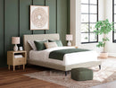 Cielden Upholstered Bed with Roll Slats - Furniture Queen (GA)*