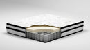 Chime 10 Inch Hybrid Mattress in a Box - Furniture Queen (GA)*