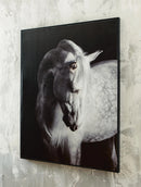 Archerwick Wall Art - Furniture Queen (GA)*