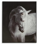 Archerwick Wall Art - Furniture Queen (GA)*