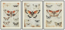 Jossletts Wall Art (Set of 3) - Furniture Queen (GA)*
