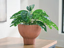 Orban Vase - Furniture Queen (GA)*