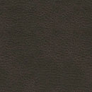 Femley Recliner - Furniture Queen (GA)*