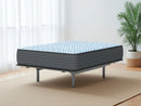 Destin Cove Firm Mattress - Furniture Queen (GA)*