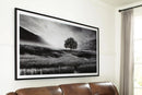 Deborland Wall Art - Furniture Queen (GA)*